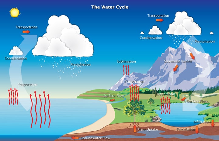 How does oxygen contribute to environmental cycles like the water cycle?