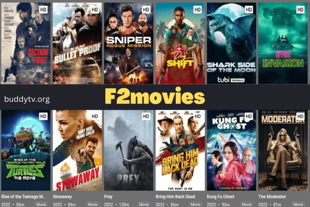 What is F2Movies